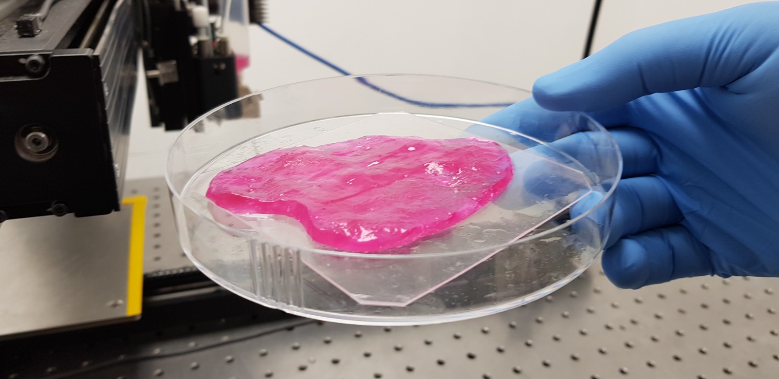 Human cultured-meat and the perfect steak -  an interview with Simon Fried of MeaTech3d