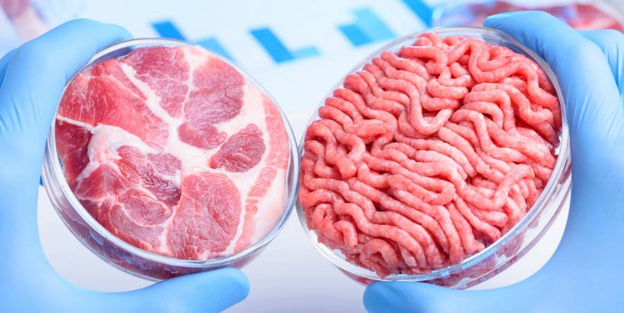 Different Techniques Used to Improve the Texture for Lab-Grown Meat